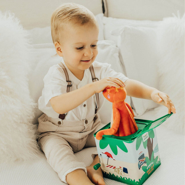 Mizzie The Kangaroo Musical Hop Out Mizzie Music Box with Toddler boy