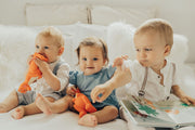3 Mizzie The Kangaroo Baby Teething Toy with 3 Babies
